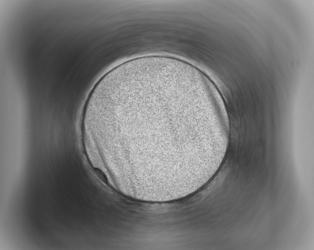 X0000100931534200807221126