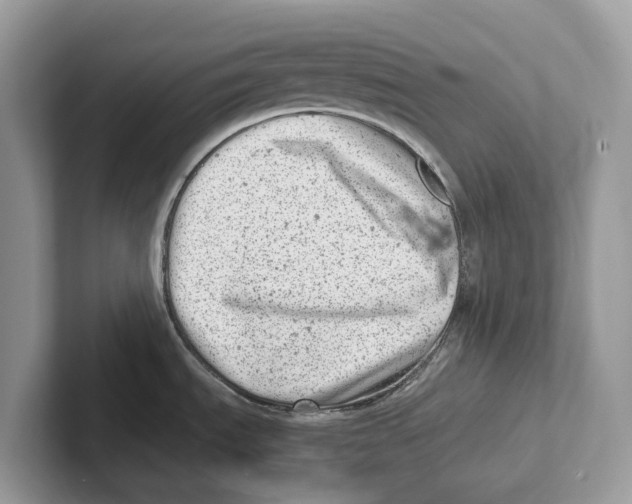 X0000100931535200807221126