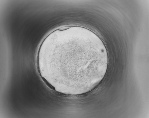 X0000100931536200807221126