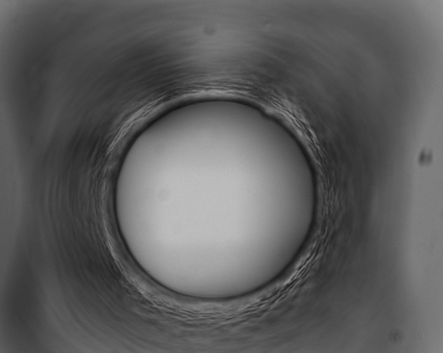 X0000100940001200806241213