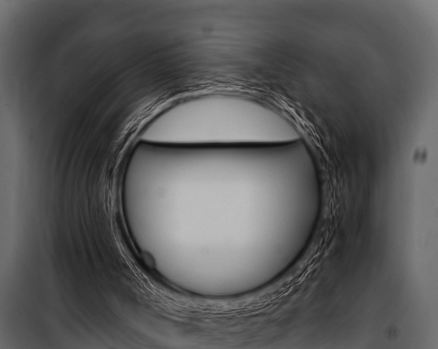 X0000100940002200806241213