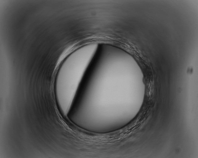 X0000100940004200806241213