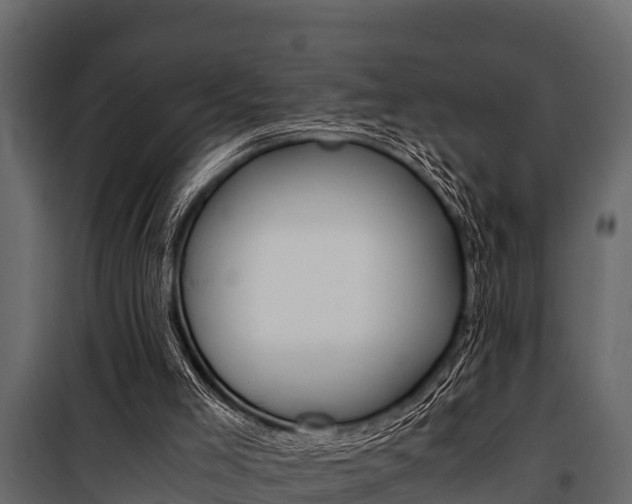 X0000100940005200806241213