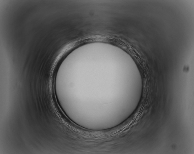 X0000100940006200806241213