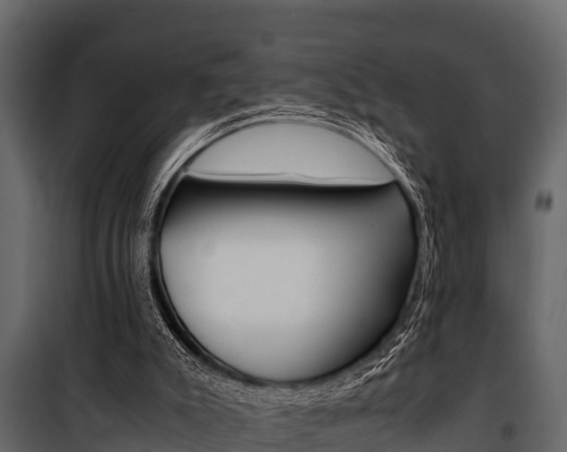 X0000100940007200806241213