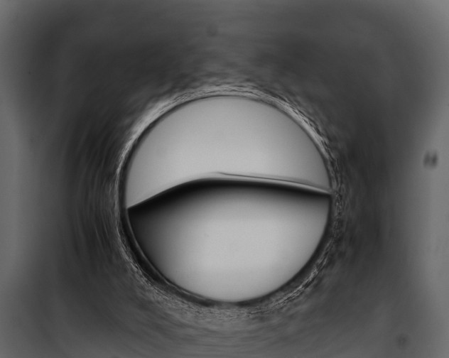 X0000100940008200806241213