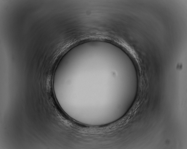 X0000100940009200806241213