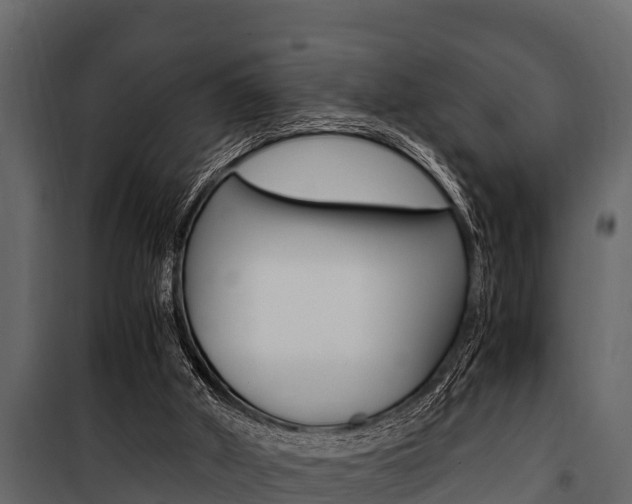 X0000100940010200806241213