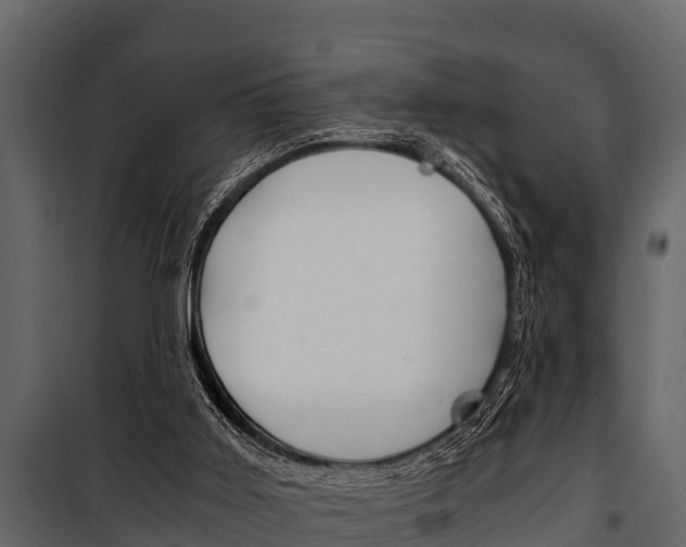 X0000100940011200806241213
