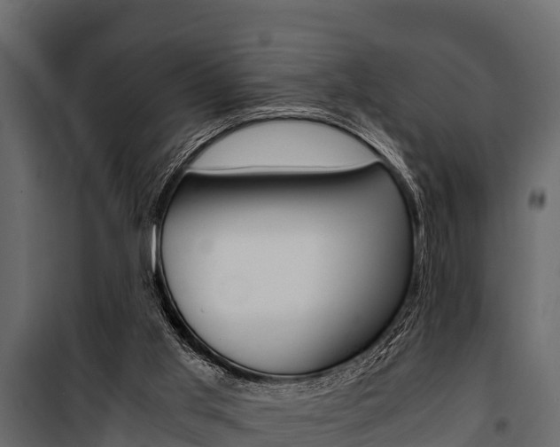 X0000100940013200806241213