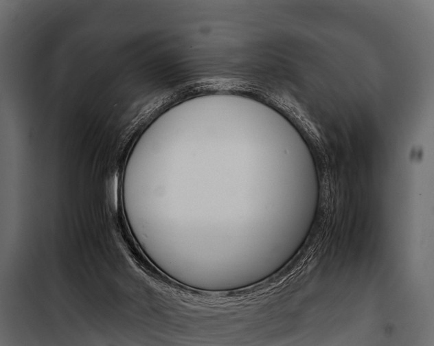 X0000100940014200806241213