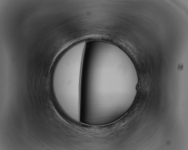 X0000100940016200806241213