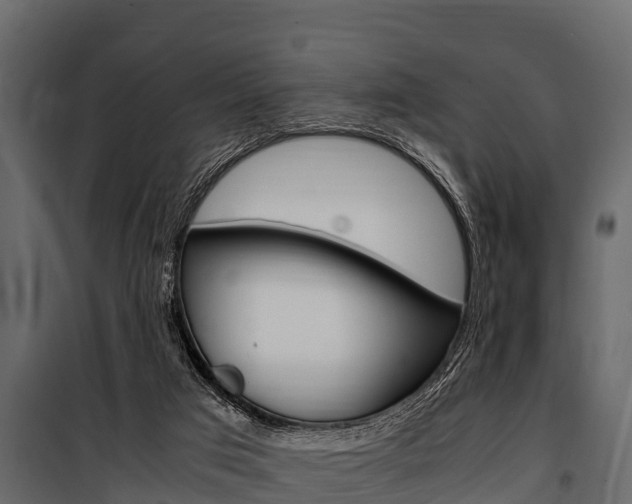 X0000100940017200806241213