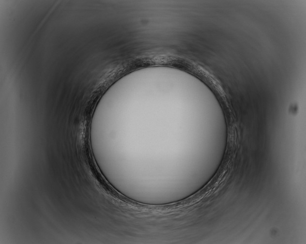 X0000100940018200806241213