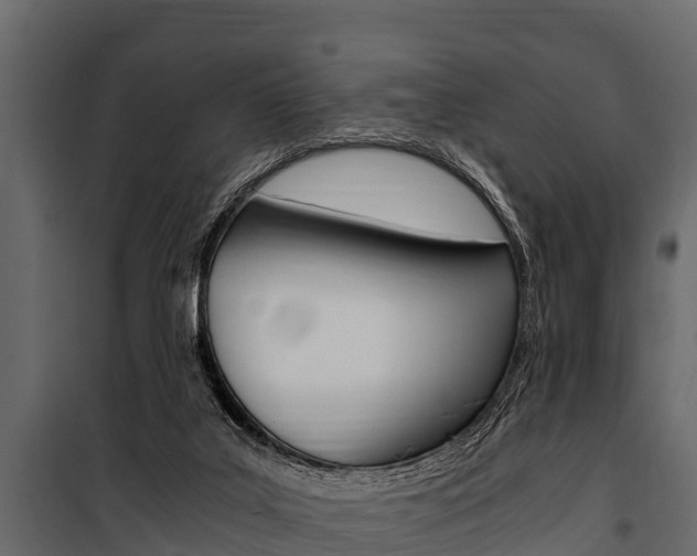 X0000100940019200806241213