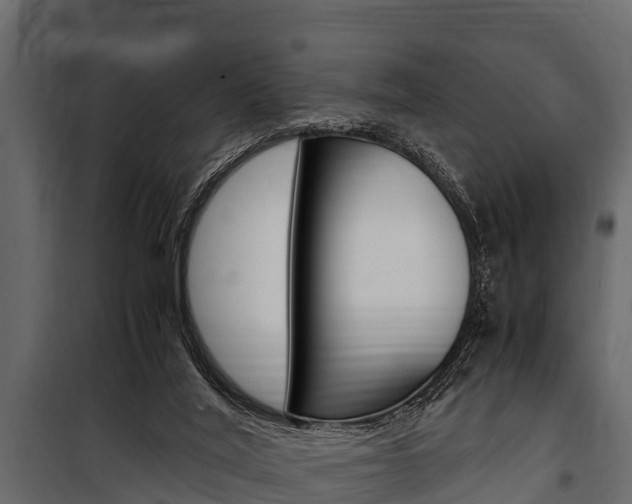 X0000100940020200806241213