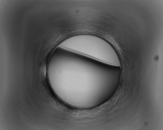 X0000100940021200806241213