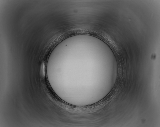X0000100940022200806241213
