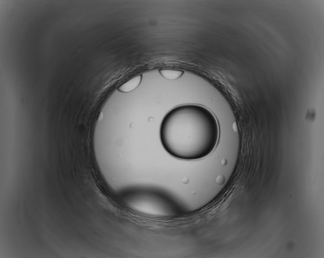 X0000100940024200806241213