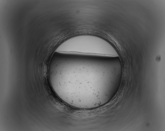 X0000100940025200806241213