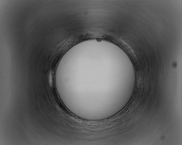 X0000100940026200806241213