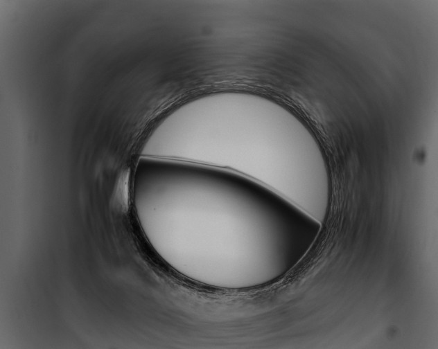 X0000100940028200806241213
