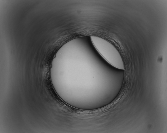 X0000100940029200806241213