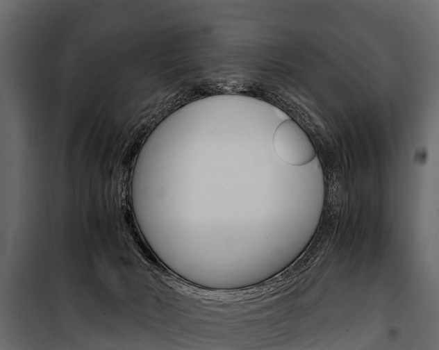X0000100940030200806241213