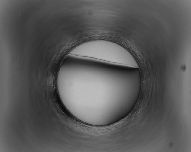 X0000100940031200806241213