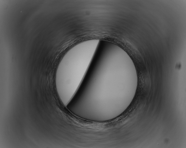 X0000100940032200806241213