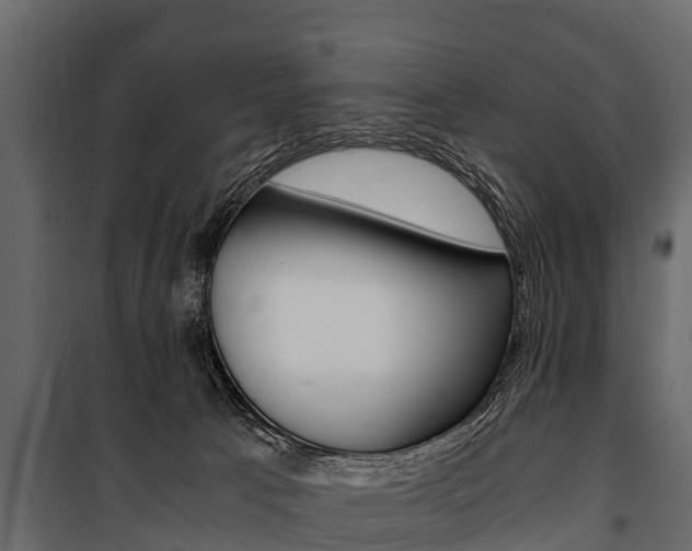 X0000100940033200806241213