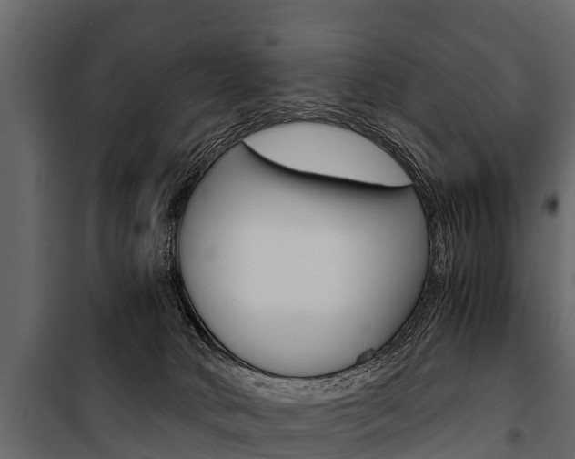 X0000100940034200806241213