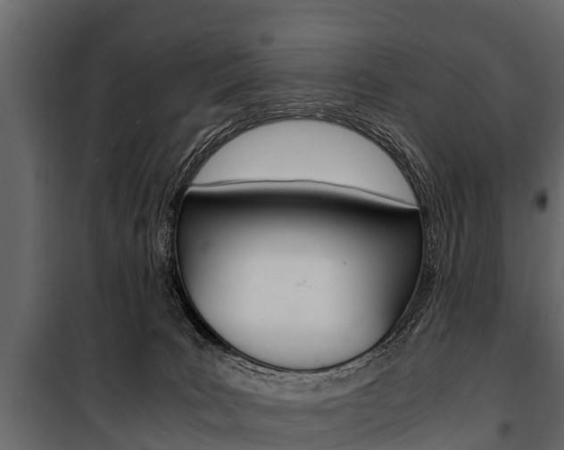 X0000100940035200806241213