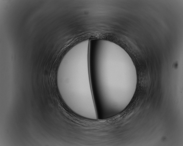 X0000100940036200806241213