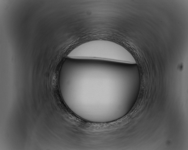 X0000100940037200806241213
