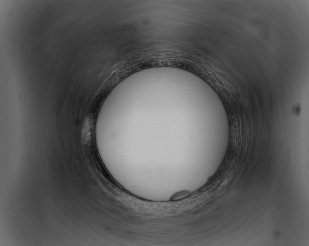 X0000100940038200806241213