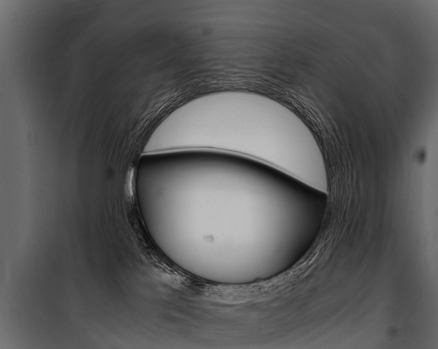 X0000100940041200806241213