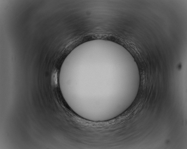 X0000100940042200806241213