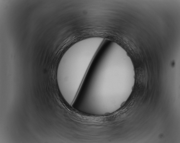 X0000100940044200806241213