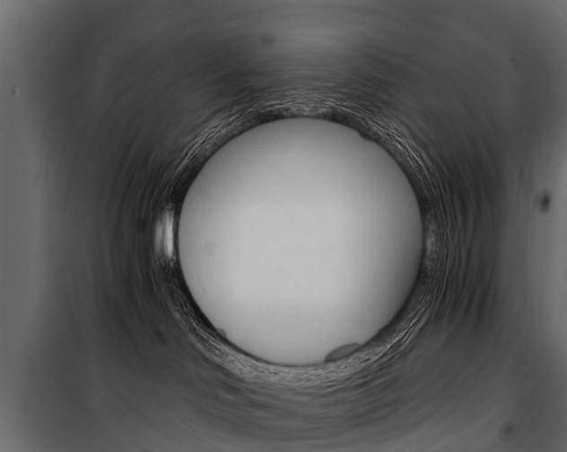 X0000100940046200806241213