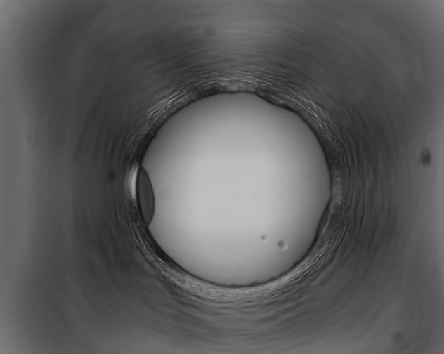 X0000100940047200806241213