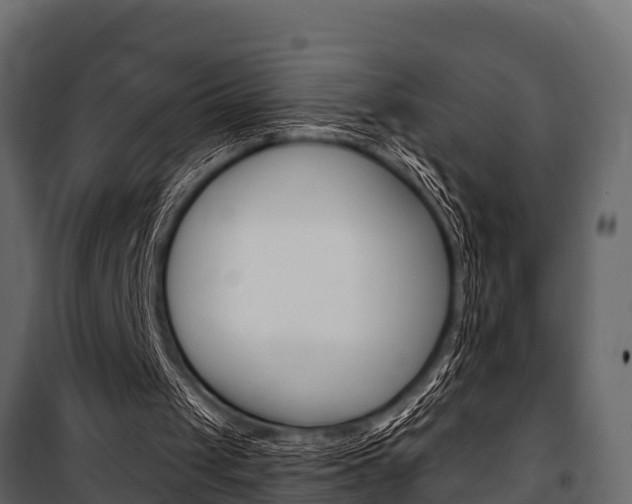 X0000100940049200806241212