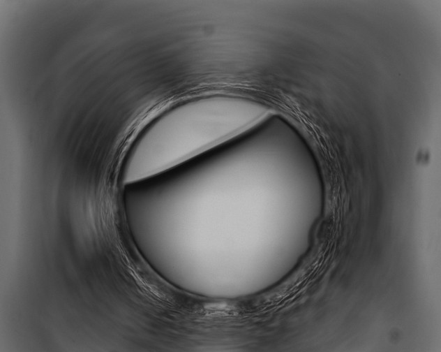 X0000100940050200806241212