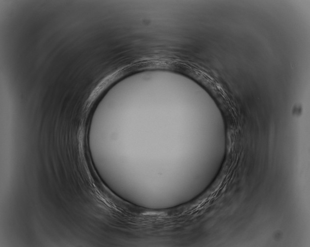 X0000100940051200806241212