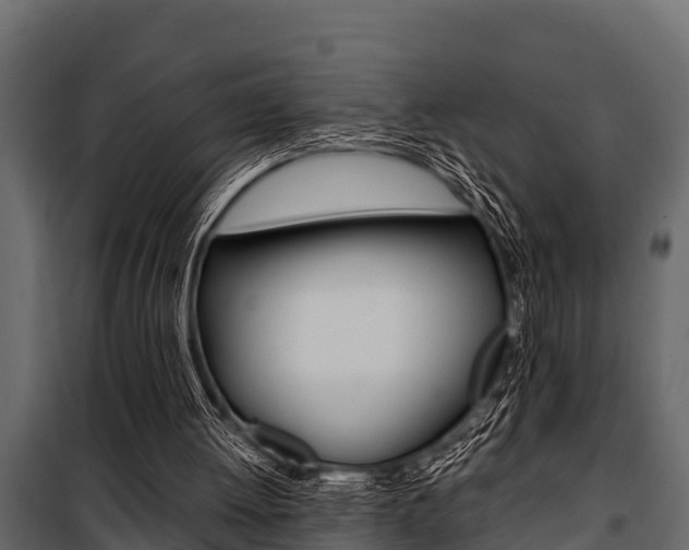 X0000100940052200806241212