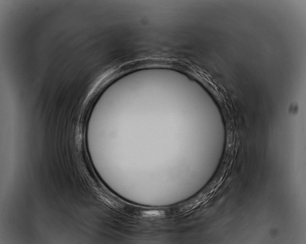 X0000100940053200806241212