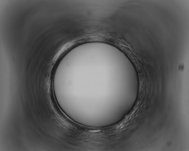 X0000100940054200806241212