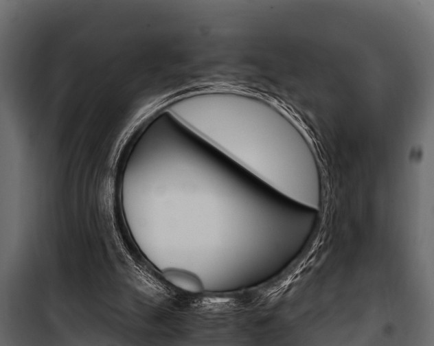 X0000100940055200806241212