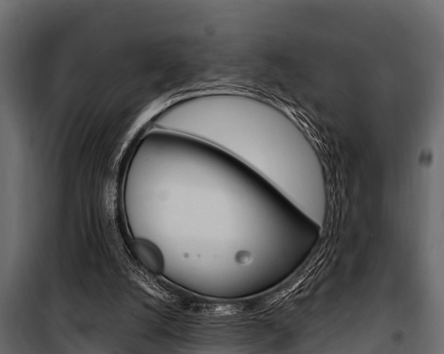 X0000100940056200806241212