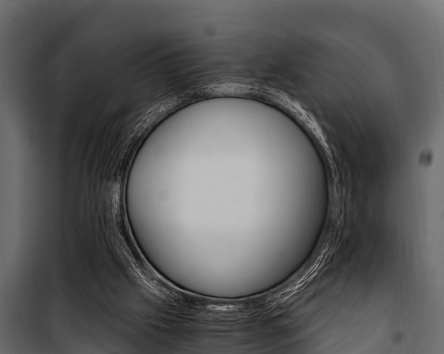 X0000100940057200806241212